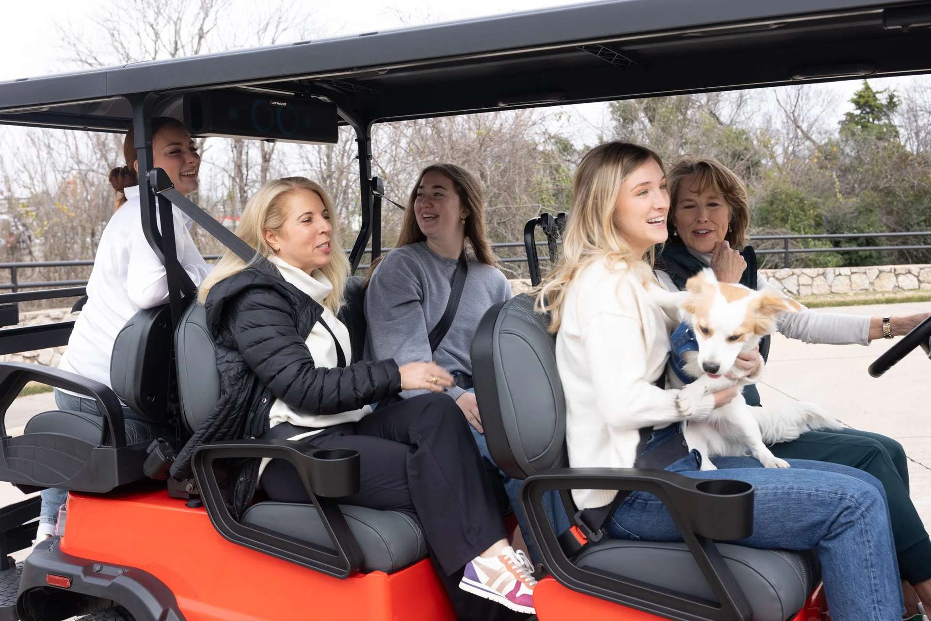 Denago Rover XL 6 in a community setting